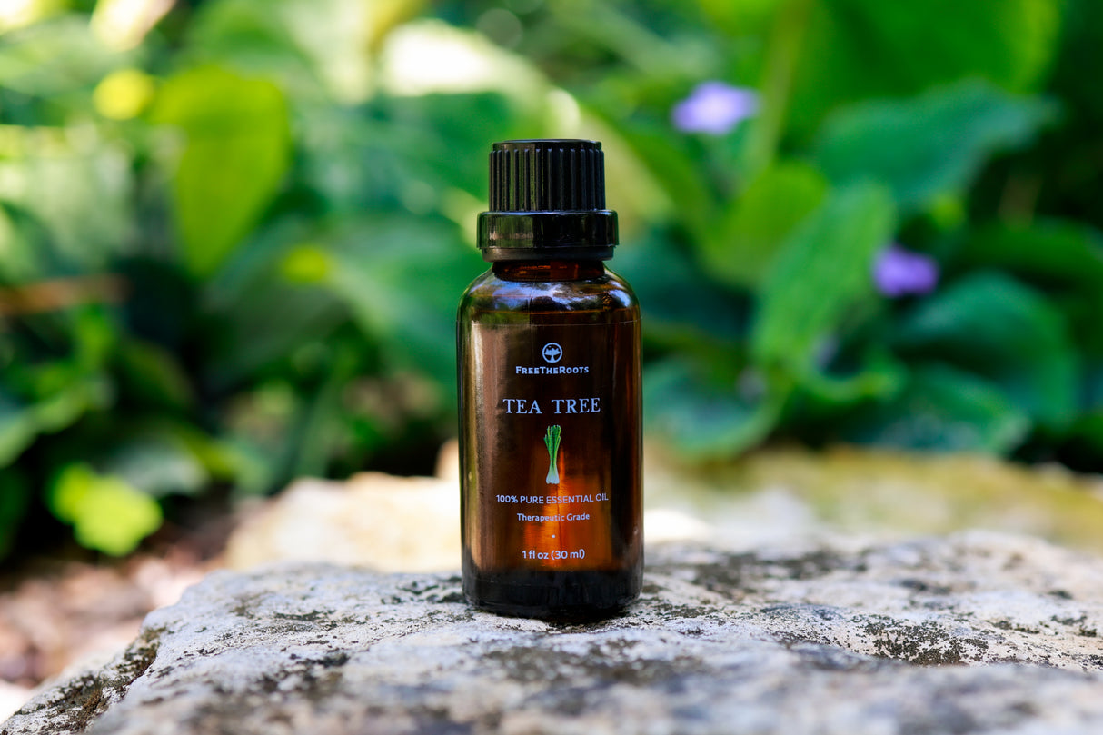 Organic Tea Tree Essential Oil